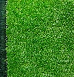 Оверлок нить № 632 зеленый