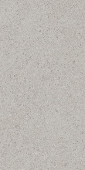 Керамогранит Kerama Marazzi DD591200R Чеппо ди Гре серый светлый матовый обрезной 119,5x238,5x1,1, 1 кв.м.
