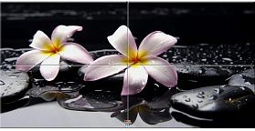 Панно из стекла Нефрит Фреш Лотос 50х100