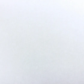 Флизелин малярный ремонтный Practic Vlies Band 2110-25