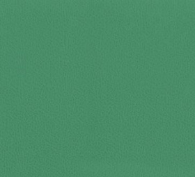 Линолеум спортивный Tarkett Omnisports R35 Field Green